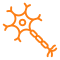 Product 06