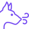 Product 19